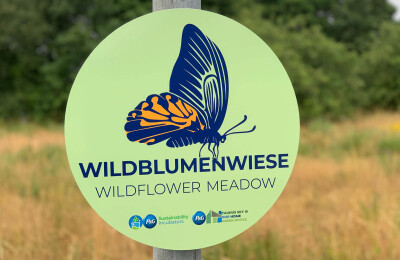 Schild Wildblumenwiese