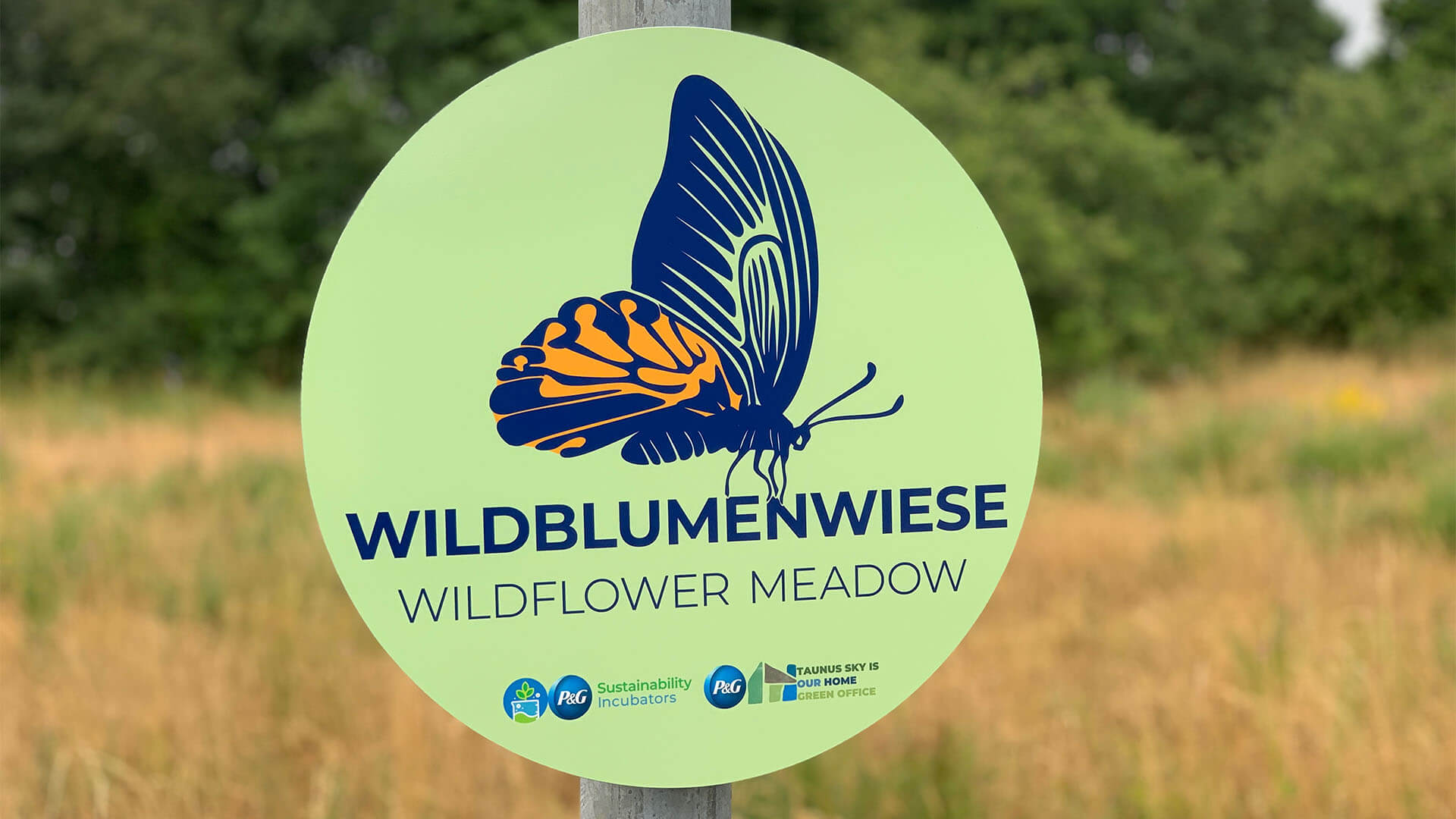 Schild Wildblumenwiese